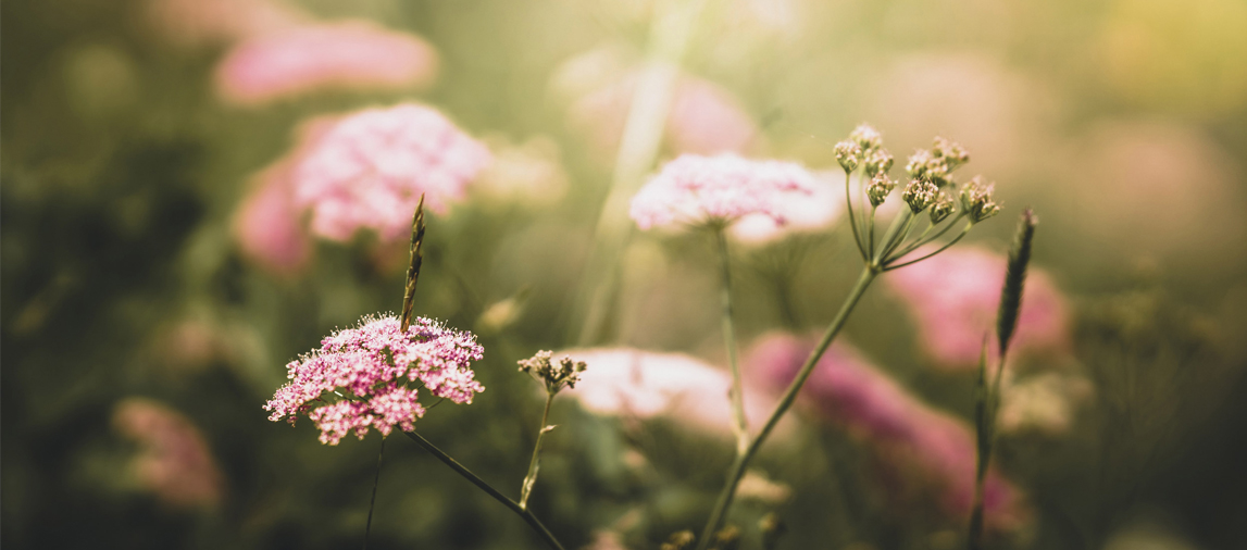 ärztliche Osteopathie